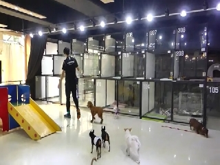 지금은 로컬시대